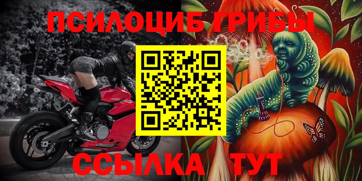 Псилоцибиновые грибы Cubensis  Вход с VPN  Барнаул 