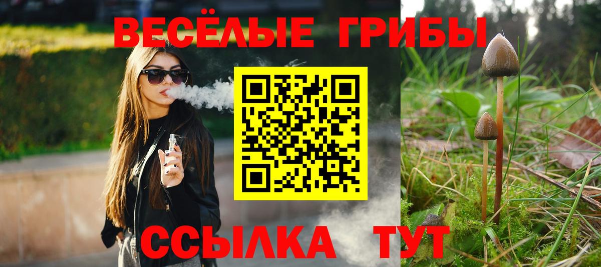 Галлюциногенные грибы Magic Shrooms Барнаул